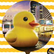 yellow duck