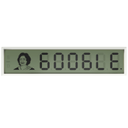 Shakuntala Devi