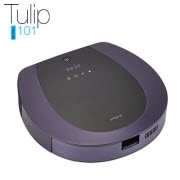 tulip101