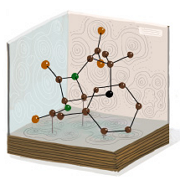 Dorothy Hodgkin