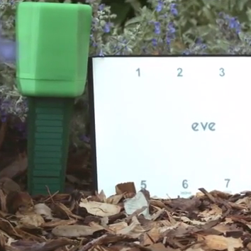 EVE
