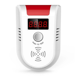 combustible gas detector